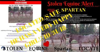 STOLEN EQUINE Spartan, LOCATED SAFE!! 10/31/18 $200.00 REWARD  Near Bakersfield, CA, 93312